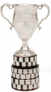 IMGReplay Championship Logo: the_boys_amateur_championship